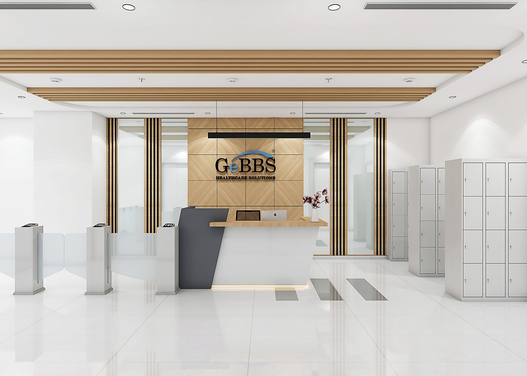 Gebbs Healthcare Solutions.